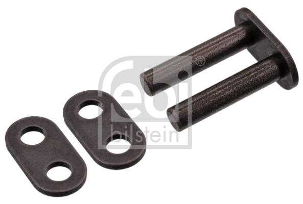 Link, timing chain